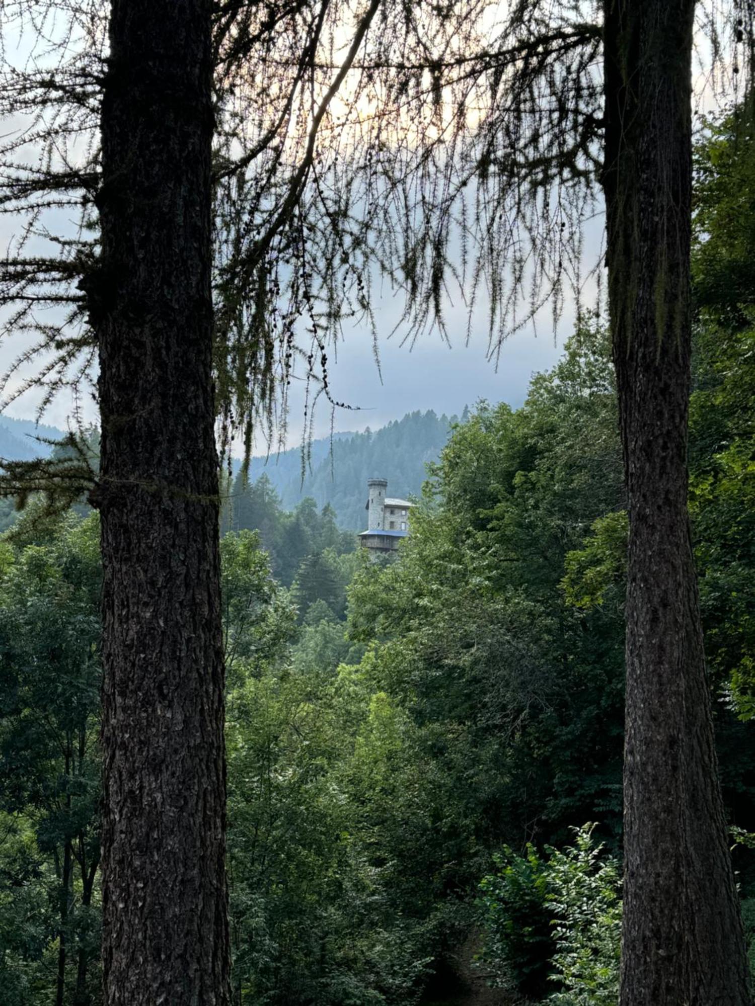 Il Castello Nel Bosco, Appartamento Torrente Champorcher Dış mekan fotoğraf